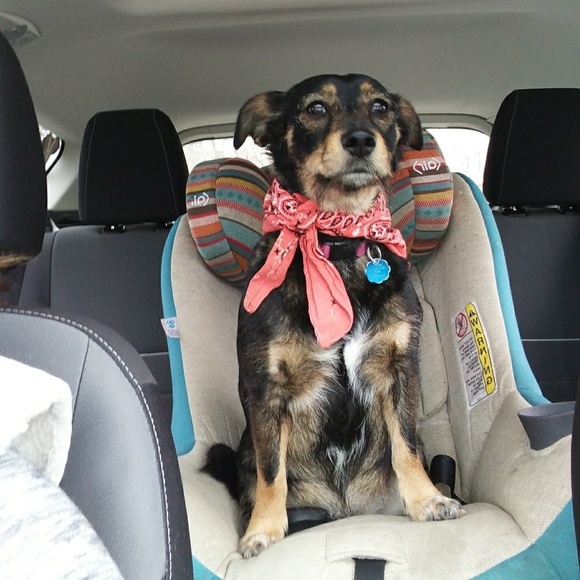 🐮 Hey everyone!!! 🐰 - Picture 7 of 8